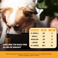 Pet Honesty perro con pelaje brillante gracias al aceite de salmón