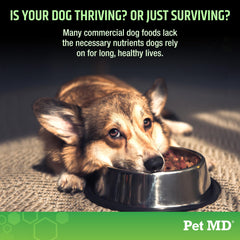 Pet MD 5en1 – digestivo, probióticos y enzimas para perros