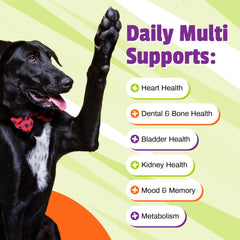 Producto libre de maíz y trigo de Pet Naturals Daily Multi para digestión suave.