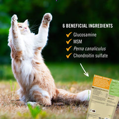 Pet Naturals, sabor a pescado en las gomitas, atractivo para gatos.