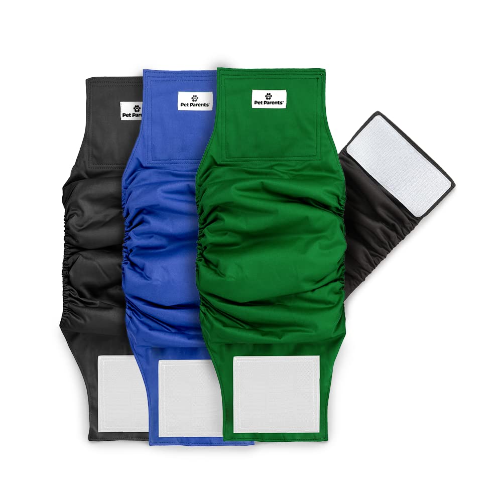 Pañales lavables Pet Parents para perros machos, 3-pack, ajuste cómodo.