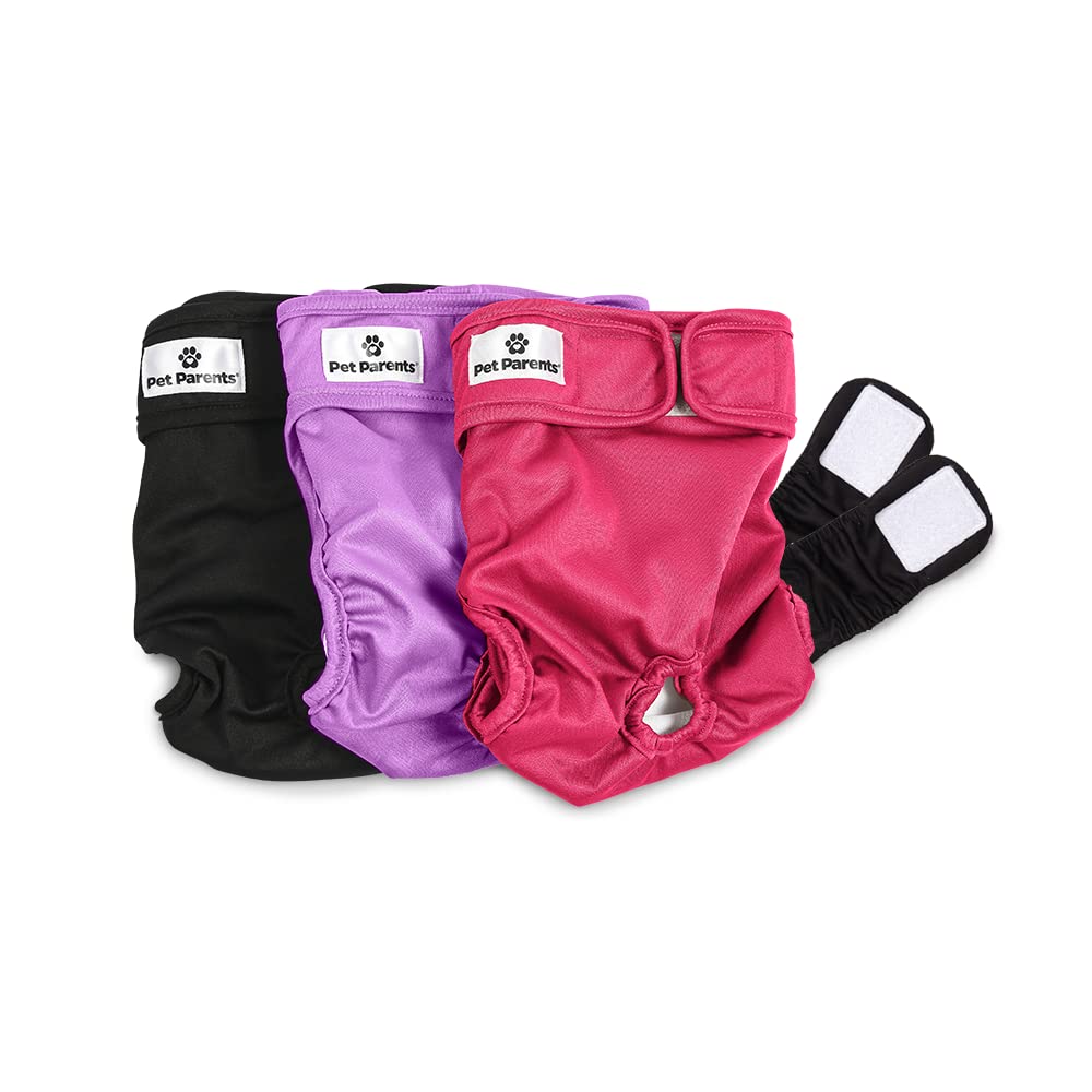 Pañales reutilizables Pet Parents para perros vistos de frente, confort y ajuste seguro.