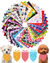 PET SHOW bandana con huellas para perros pequeños, ideal para paseos.