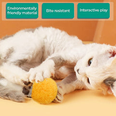 PET SHOW bola pompon gato de 3,8 cm para juego en interiores