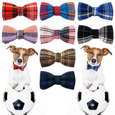 PET SHOW lazo para collar en 8 colores, ideal para paseos.