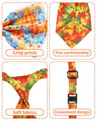 PET SHOW lazo con cono de pino en collar, perfecto para sesiones.
