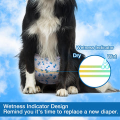 Panales Pet Soft para perro macho xsmall, diseño azul para diversión y tranquilidad.