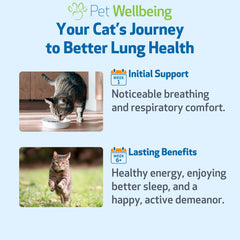 Lung Gold de Pet Wellbeing con sabor a bacon para mejorar la aceptación