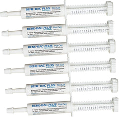 PetAg Bene-Bac Gel en jeringa de 15 g, promueve la salud digestiva en mascotas.