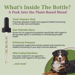 Mezcla herbal de ProsPet Drops para apoyar la inmunidad canina