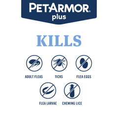 PetArmor Plus rompe el ciclo de pulgas eliminando huevos y larvas.