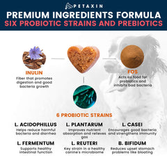 Petaxin Probiotics para perros, 6 cepas y prebióticos, soporte digestivo.