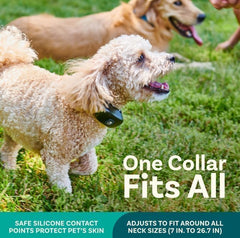 PetCove: collar resistente al agua IPX7 para entrenamiento al aire libre.