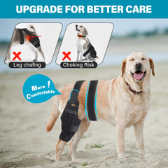 Petdream diseño antideslizante para mayor sujeción durante el movimiento.