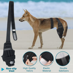 Petdream estabilizadores laterales para rodilla canina, mayor estabilidad.