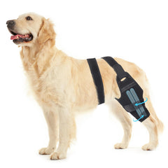 Petdream rodillera para perro con ajuste derecho, soporte de rodilla para ACL/CCL.