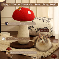 PETFROH base amplia, estabilidad para gatos de todos los tamaños.