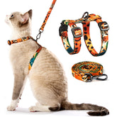 Gato con arnés PetThem a prueba de escape naranja para paseos seguros.