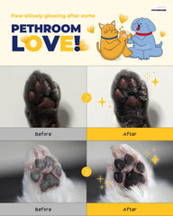 Patitas de perro recibiendo cuidado con PETHROOM.
