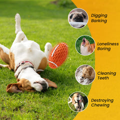 Juguete interactivo Petinstinct para perros pequeños, fomenta el juego y la actividad.