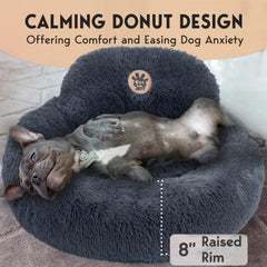 Diseño en dona de PetJett acoge al perro para sentirse seguro