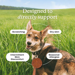 PetLab Co Itch Relief Chew Pro: fórmula con omega-3 para piel y pelaje saludables.