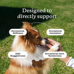 PetLab Co Omega 3 para perros: apoyo para piel y articulaciones