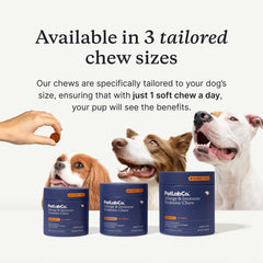 PetLab Co. probióticos para perros, ingredientes naturales para la salud.