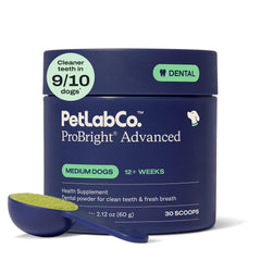 PetLab Co ProBright polvo dental en envase, limpieza suave para perros.