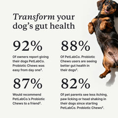PetLab Co probióticos para perros: masticables sabrosos para bienestar diario.