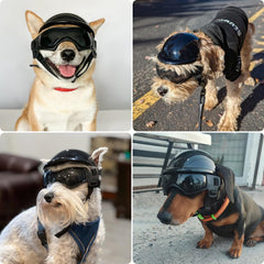 PETLESO casco para perro con orificios para orejas, ofrece mejor ajuste.