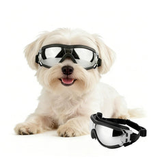 Gafas PETLESO para perros pequeños, enfoque frontal, ajuste cómodo para paseos diarios.