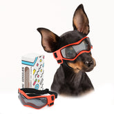 Gafas PETLESO para perro pequeño con lentes curvas y ajuste cómodo.