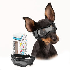 PETLESO gafas para perro tamaño pequeño, frente definida y protección UV para paseos al sol.