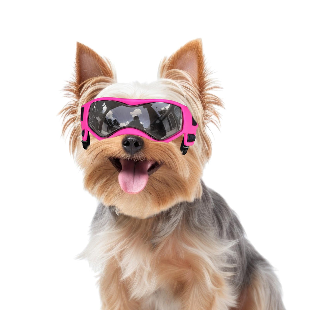 PETLESO gafas para perro pequeño rosa con protección UV y comodidad diaria