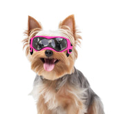 PETLESO gafas para perro pequeño rosa con protección UV y comodidad diaria