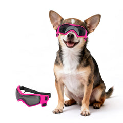 Gafas PETLESO XS para perros con diseño curvo y lentes que cubren todo el ojo.