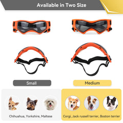 PETLESO lunettes chien protection UV, réduction de l’exposition lors d’activités extérieures