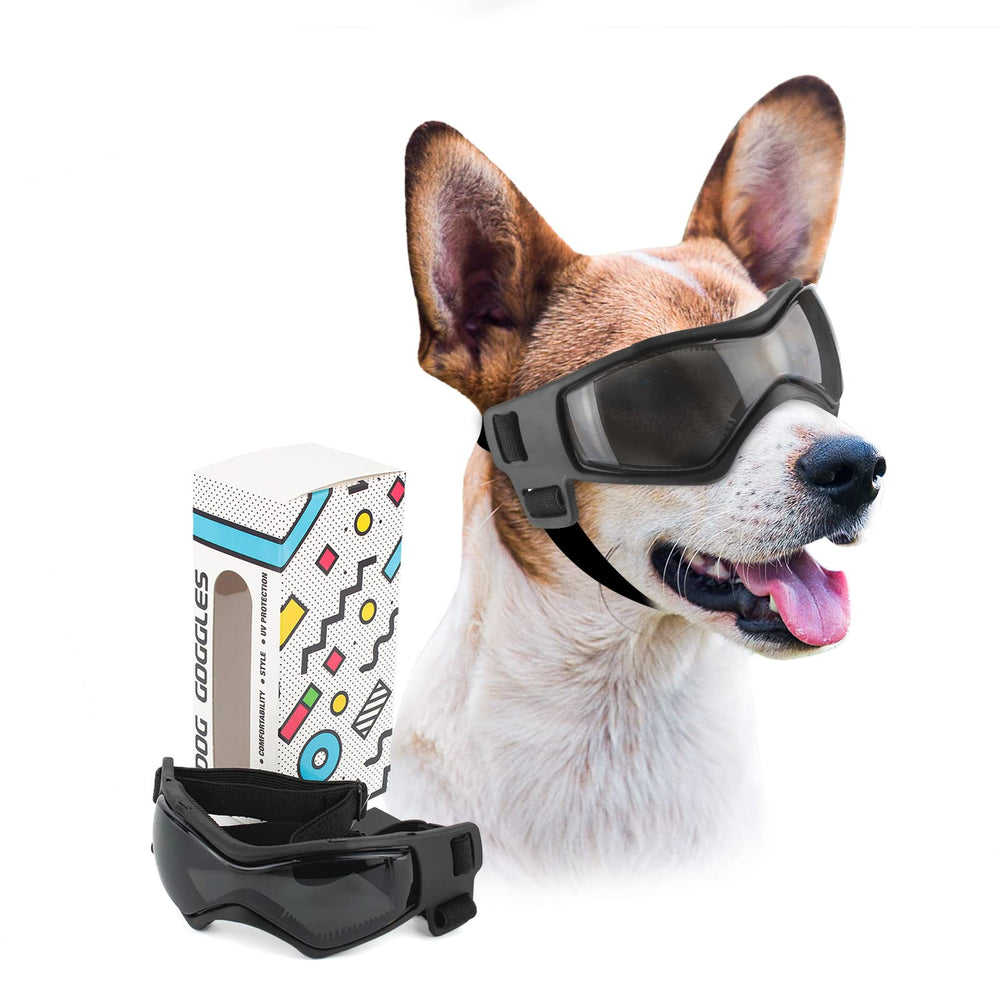 Lunettes PETLESO pour chien, visage ensemble, protection lors de balades.