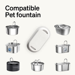 PETLIBRO éponges filtre chat inox, filtration douce pour l'hydratation.