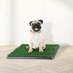 PETMAKER entrenamiento de cachorros, superficie suave que facilita el uso correcto.
