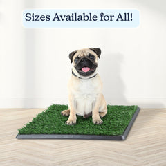 PETMAKER limpieza rápida, las capas se enjuagan con agua.