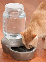 Petmate Replenish Mason, jarra inspirada; diseño rústico que favorece la hidratación