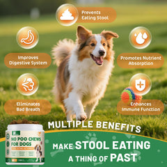 Petrivium No Poo Chews masticables para perro en primer plano, apoyando bienestar digestivo.