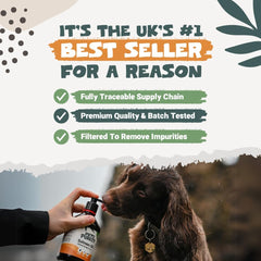 Aceite de Salmón Pets Purest vertido sobre la comida del perro para palatabilidad.