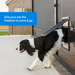 PetSafe armazón plástico de alto impacto, duradero para uso diario
