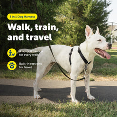 PetSafe arnés 3-en-1 con diseño Martingale para presión gradual y menor tirón