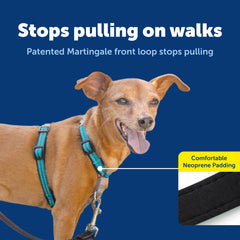 PetSafe Arnés 3 en 1 para coche con lazo de cinturón de seguridad