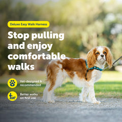 PetSafe arnés deluxe con correas de neopreno acolchadas para mayor comodidad.