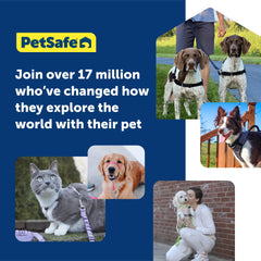 PetSafe arnés de diseño ligero, fácil de colocar
